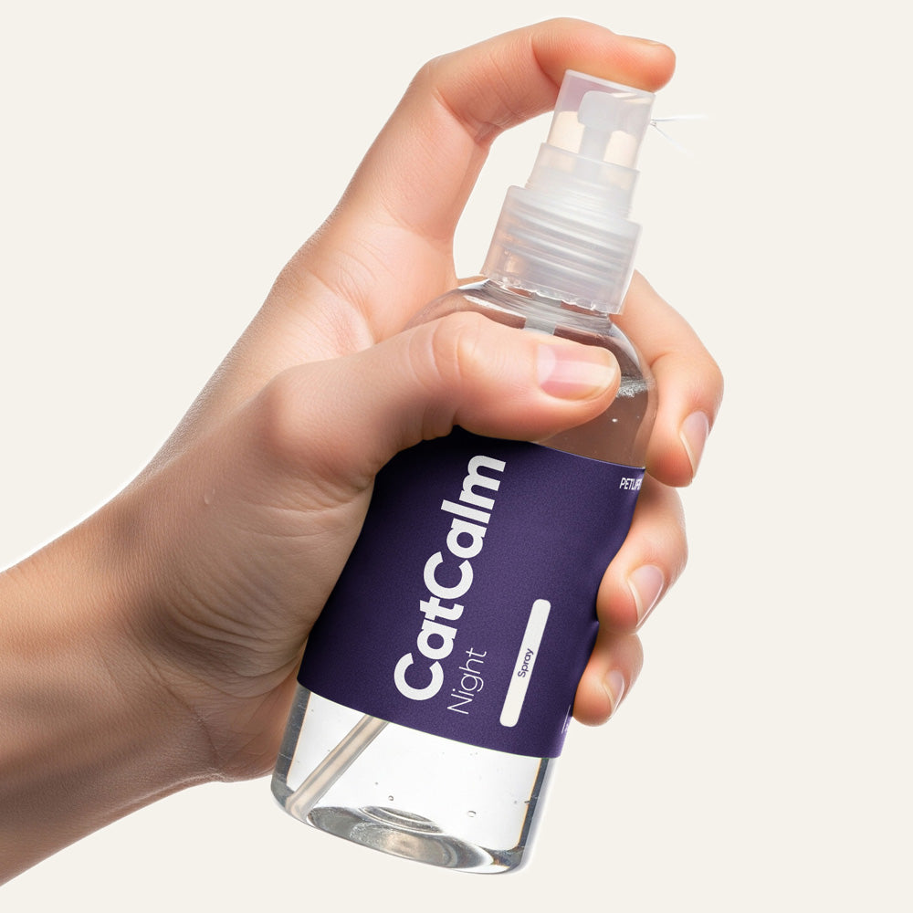 CatCalm Night - Essence Spray