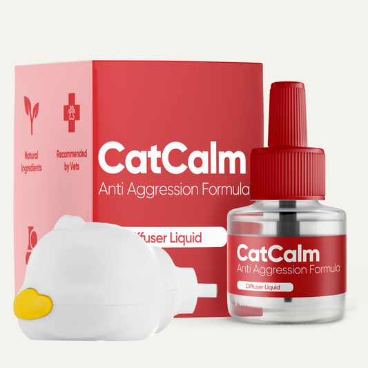 Anti Aggression Bundle