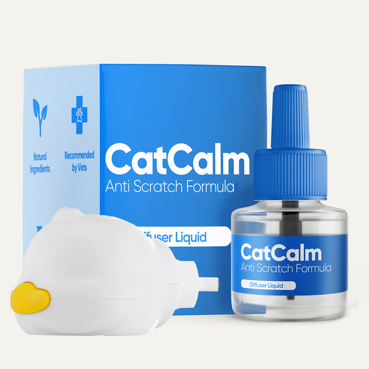 Anti Scratching Bundle