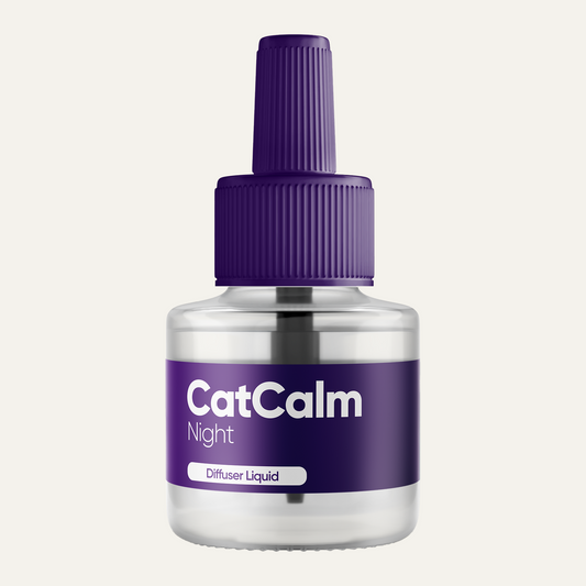CatCalm Night
