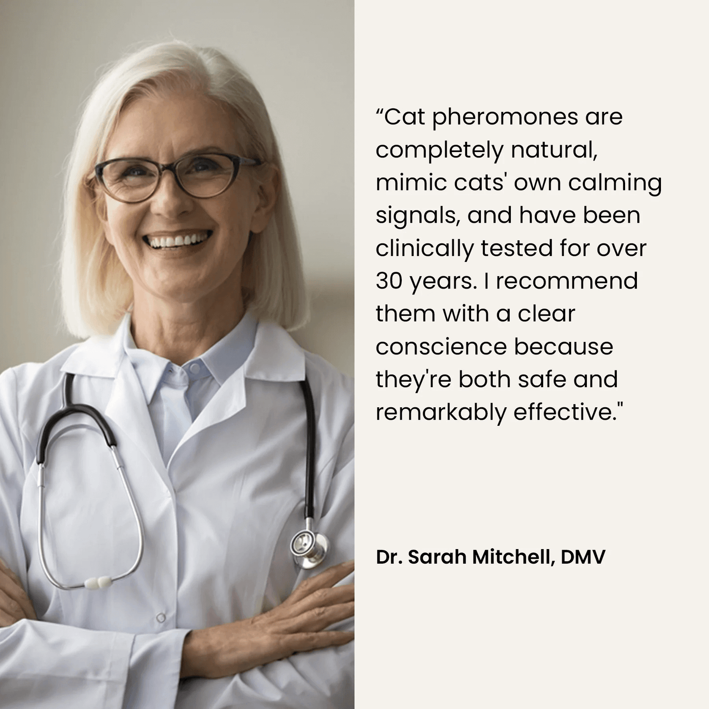 CatCalm Friends - Stops Cat Fights in 3 Days